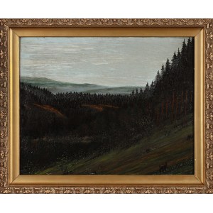 Painter UNLIMITED, POLISH, Mountain Landscape