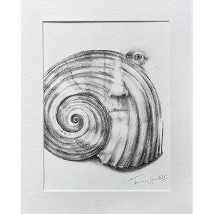 Tamara Sass, Muschel 1, 2025