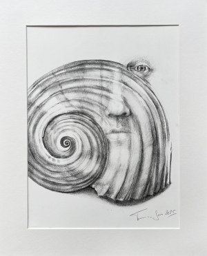 Tamara Sass, Muszla 1, 2025