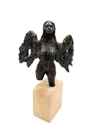 Marta Wincencjusz (Fuks-Frankiewicz), Harpia, 2013