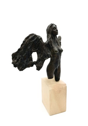 Marta Wincencjusz (Fuks-Frankiewicz), Harpia, 2013