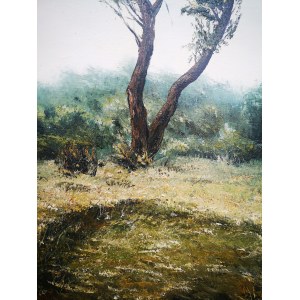 Grzegorz KRÓL  Roztocze 