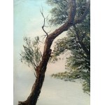 Grzegorz KRÓL  Roztocze 