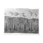 Jan Nowak " Autumn " 2007