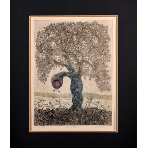 Jan Nowak  Rajska Jabłoń 