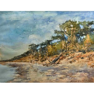 Wojciech Górecki, Hel Peninsula from the side of the bay - late afternoon, 2025