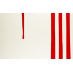 Piotr Uklański (b. 1968, Warsaw), Untitled (Battle of Beresteczko 1651), 2011