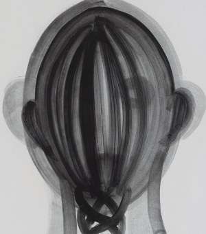 Róża Litwa (ur. 1982), Bez tytułu