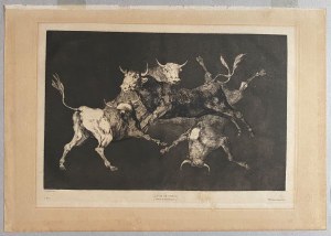 Francisco Goya, Francisco Goya Otras leyes por el pueblo | Lluvia de toros | ¡Qué guerrero! | Una reina del circo,