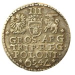 Sigismund III Vasa, Troika 1594, Malbork (505)