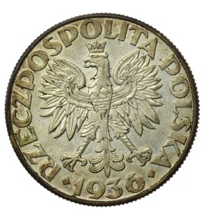 II RP, 5 gold 1936 Sailing ship (628)