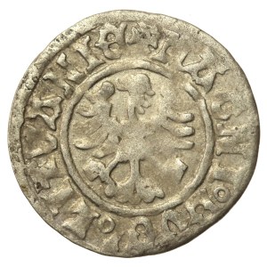 Alexander Jagiellonian, Half-penny, Vilnius-Renaissance (745)