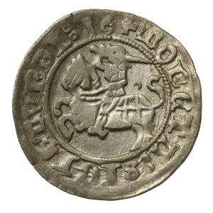 Sigismund I the Old, Half-penny 1516, Vilnius. Dash of the Pogon (747)