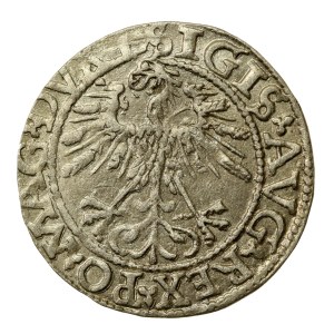 Sigismund II Augustus, Half-penny 1562, Vilnius (754)