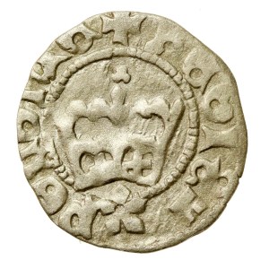 John I Olbracht, Half-penny, Kraków - Poraj (771)