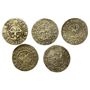 Jagiellonians, a set of crown half-grophs. Total of 5 pieces. (787)