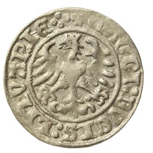 Sigismund I the Old, Half-penny 1510, Vilnius (789)