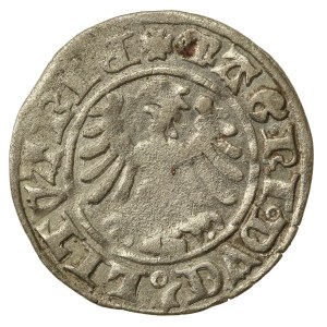 Alexander Jagiellonian, Half-penny, Vilnius-Gothic. Rare Pogon (796)
