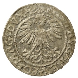 Sigismund II Augustus, Half-penny 1560, Vilnius - L/LITV (797)