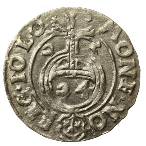Sigismund III Vasa, Half-track 1625, Bydgoszcz - Saxon in decorative shield (945)