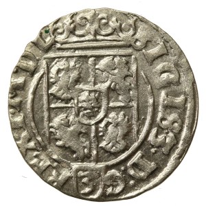 Sigismund III Vasa, Half-track 1625, Bydgoszcz - Saxon in decorative shield (945)