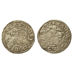 Alexander Jagiellonian, a set of half-pennies. Total of 2 pcs. (556)