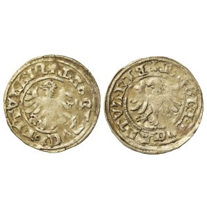 Alexander Jagiellonian, a set of half-pennies. Total of 2 pcs. (556)