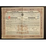 Ivangorod-Dabrovsk Iron Road Society, 4.5% bond 125 rubles, 1882 (265)