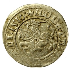 Zygmunt I Stary, Półgrosz 1510, Wilno, 4 kropki na rew. (690)