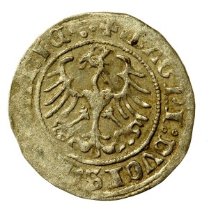 Zygmunt I Stary, Półgrosz 1510, Wilno, 4 kropki na rew. (690)