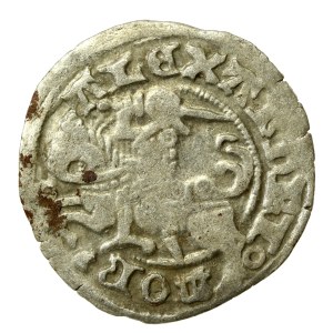 Alexander Jagiellonian, Half-penny, Vilnius-Gothic (560)