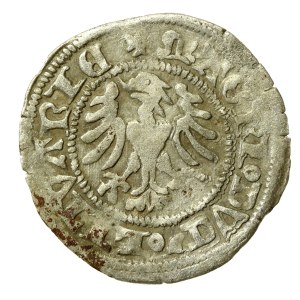 Alexander Jagiellonian, Half-penny, Vilnius-Gothic (560)