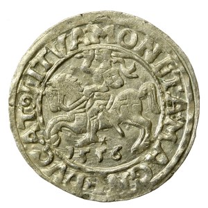 Žigmund II August, polgroš 1556, Vilnius - LI/LITVA (571)