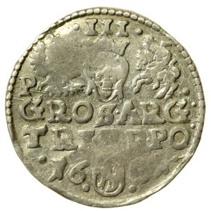 Sigismund III. Vasa, Trojak 1601, Poznań (584)