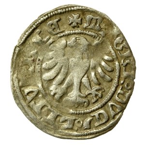 Alexander Jagiellonian, Half-penny, Vilnius-Gothic (585)