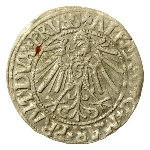 Prusy Książęce, Albrecht Hohenzollern, Grosz 1544, Królewiec (602)