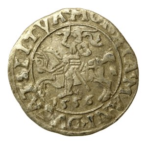 Zygmunt II August, Półgrosz 1556, Wilno - L/LITVA (645)