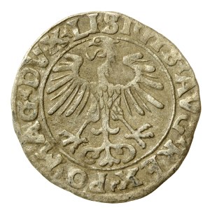 Zygmunt II August, Półgrosz 1556, Wilno - L/LITVA (645)