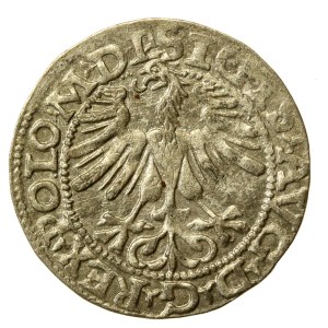 Zygmunt II August, Półgrosz 1565, Wilno - L/LITV (649)