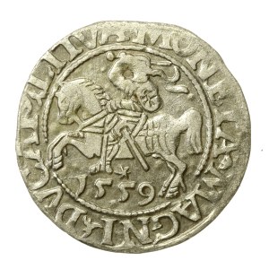 Sigismund II Augustus, Half-penny 1559, Vilnius - L/LITVA (51)
