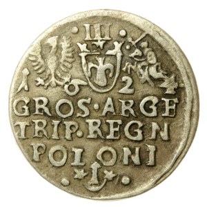 Sigismund III Vasa, Trojak 1624, Krakow (56)