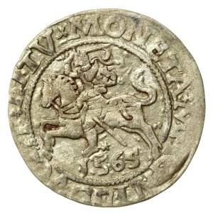 Sigismund II Augustus, Half-penny 1565, Vilnius - L/LITV (69)