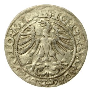 Sigismund II Augustus, Half-penny 1565, Vilnius - L/LITV (69)