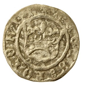 Sigismund I the Old, Half-penny without date, Cracow. MNETA error (976)