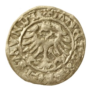 Sigismund I the Old, Half-penny without date, Cracow. MNETA error (976)
