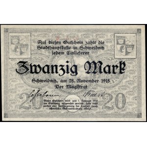 Poland. Świdnica 20 Marek 1918