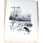 KRZYWOSZEWSKI - Z PRZEŻYĆ I WRAŻEŃ MYŚLIWSKICH wyd. 1927r. z 24 rysunkami MACKIEWICZA