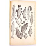 OCHOROWICZ-MONATOWA- UNIVERZÁLNA KUCHÁRSKA KNIHA. ILUSTRÁCIE A FAREBNÉ DOSKY