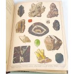 WERMIŃSKI - NATURAL HISTORY IN IMAGES Botany and mineralogy 269 colored pictures 1893 FOLIO