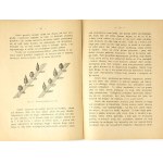 JANKOWSKI- SAD BY THE CHAIR published in 1930.